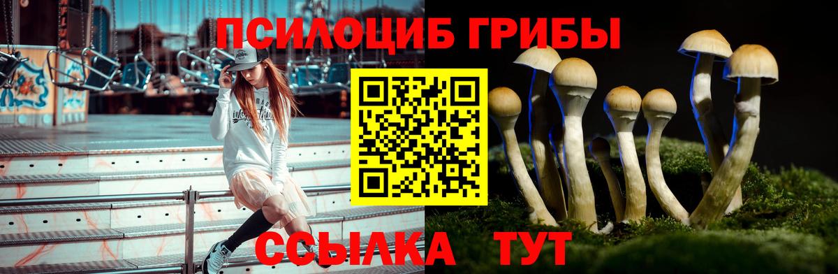 Галлюциногенные грибы GOLDEN TEACHER  Галлюциногенные грибы Psilocybe  Вход с VPN  Хабаровск 