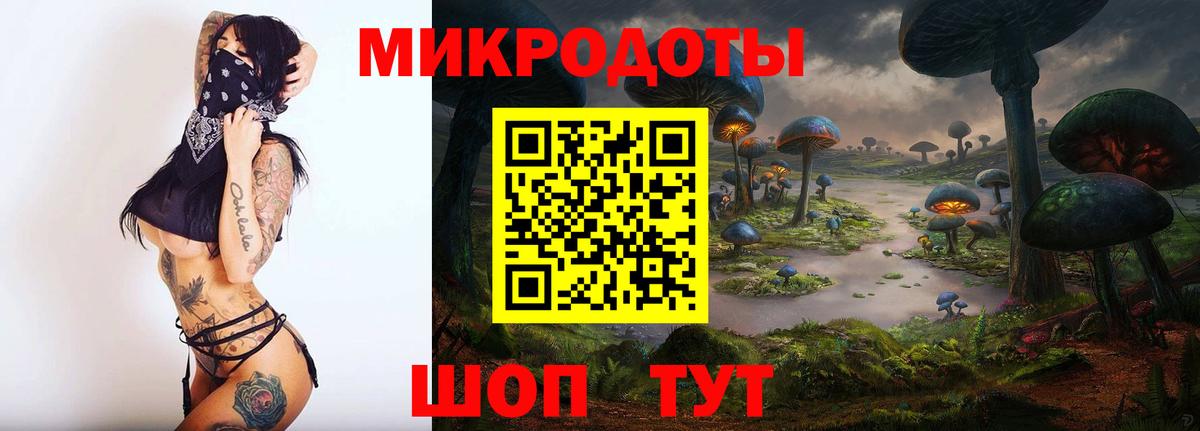 Псилоцибиновые грибы мицелий Хабаровск